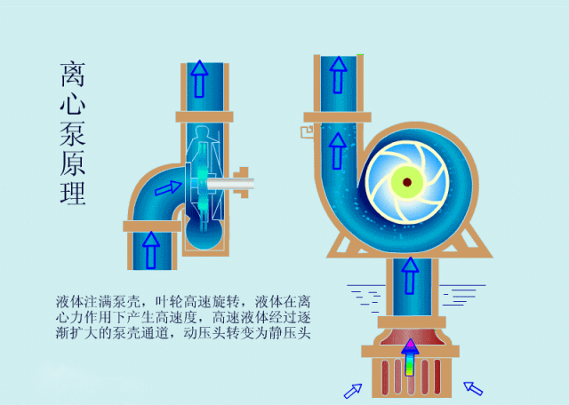 科普之離心泵啟動(dòng)時(shí)，出口閥門必須關(guān)閉嗎？(圖2)